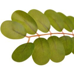 Copac artificial DP Phyllanthus Emblica 160cm (Green) Thumb