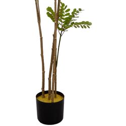 Copac artificial DP Phyllanthus Emblica 160cm (Green) Thumb