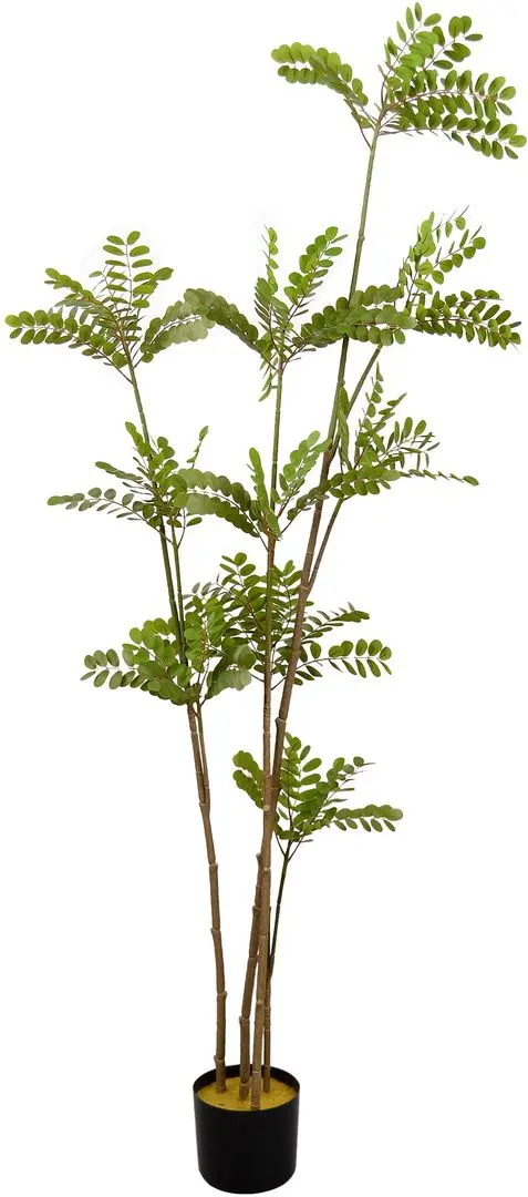 Copac artificial DP Phyllanthus Emblica 160cm (Green)