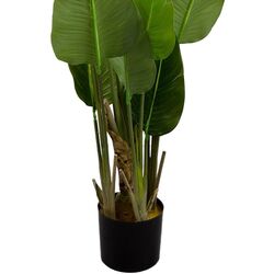 Planta artificiala DP Strelitzia 170cm (Green) Thumb