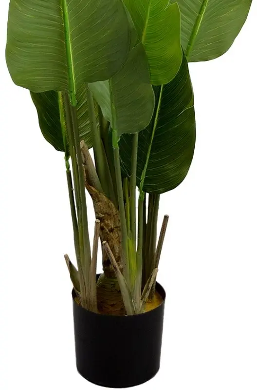 Planta artificiala DP Strelitzia 170cm (Green) - 2