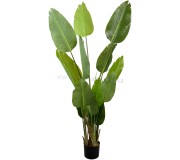 Planta artificiala DP Strelitzia 170cm (Green)