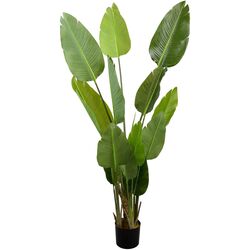 Искусственное растение DP Strelitzia 170cm (Green)