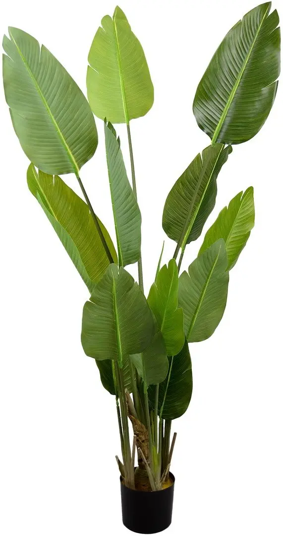 Planta artificiala DP Strelitzia 170cm (Green)