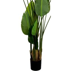 Искусственное растение DP Strelitzia 250cm (Green) Thumb