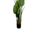 Planta artificiala DP Strelitzia 250cm (Green)