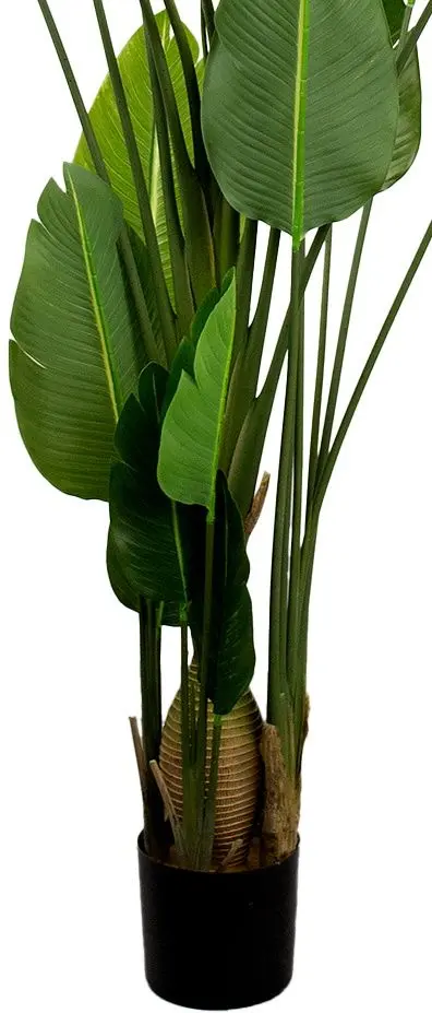 Искусственное растение DP Strelitzia 250cm (Green) - 2