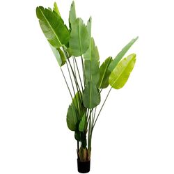 Искусственное растение DP Strelitzia 250cm (Green)