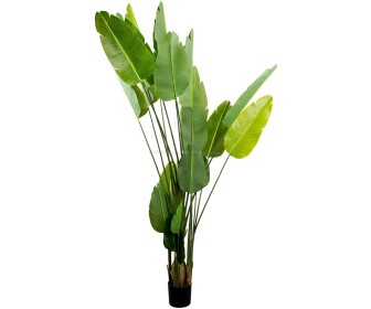 Planta artificiala DP Strelitzia 250cm (Green)