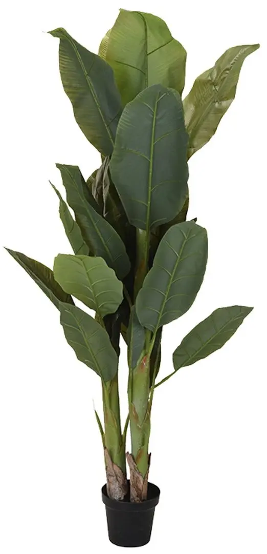 Copac artificial Progarden 165cm 47511 (Bananier)