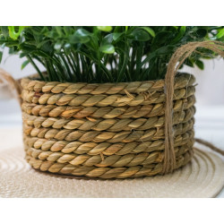 Растение искусственное H&S 47503 18x18x15cm Thumb