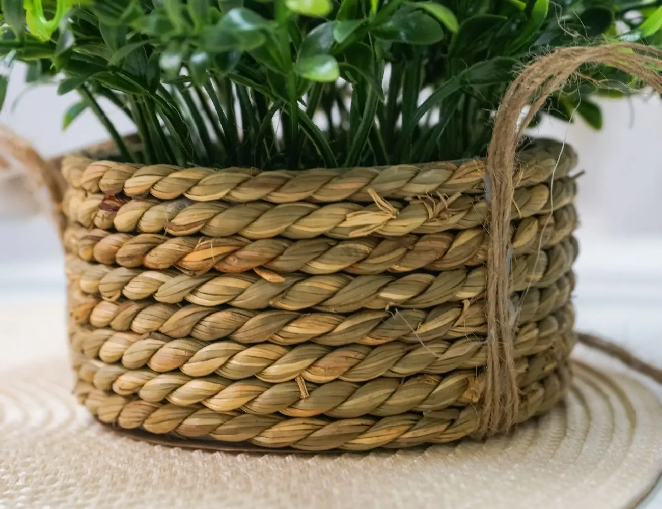 Растение искусственное H&S 47503 18x18x15cm - 4