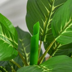 Planta artificiala Homcom 830-434 95cm (Green) Thumb