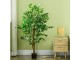 Planta artificiala Homcom 830-799V00GN 150cm (Green)