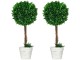 Set de plante artificiale Homcom 830-792V00GN 60cm (Green)