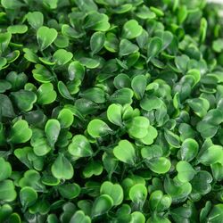 Set de bile topiary Homcom 830-790V00GN (Green) Thumb