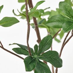 Floare artificiala Ikea Smycka 95cm (Enkianthus) Thumb