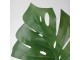 Frunză artificială Ikea Smycka 80cm (Monstera/Verde)