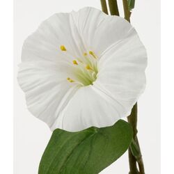 Planta artificiala Ikea Anledning 100cm (Verde/Alb) Thumb