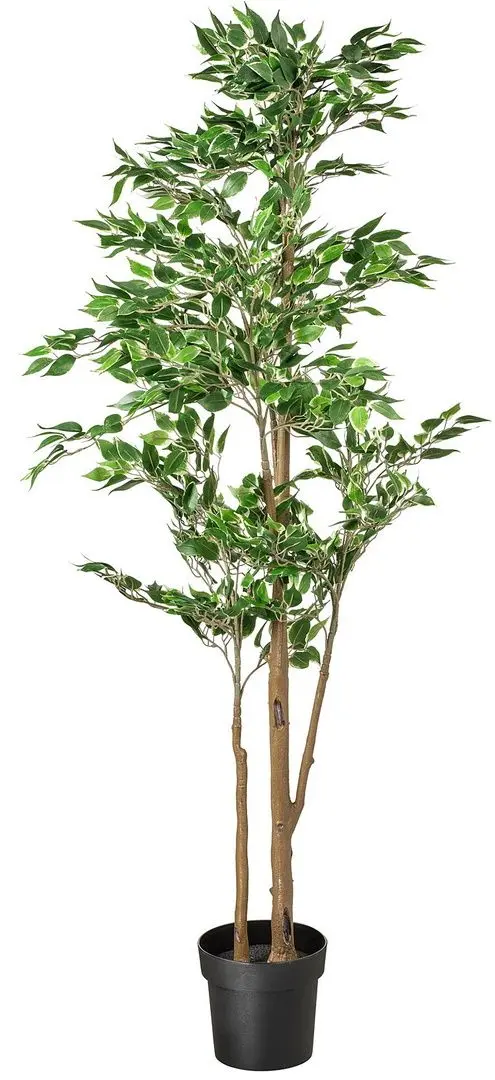 Растение искусственное Ikea Fejka 21cm (Фикус Бенджамина/Экзотика)
