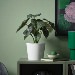 Planta artificiala Ikea Fejka interior/exterior 12cm (Alocasia) Thumb