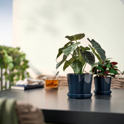 Planta artificiala Ikea Fejka interior/exterior 12cm (Alocasia) Thumb