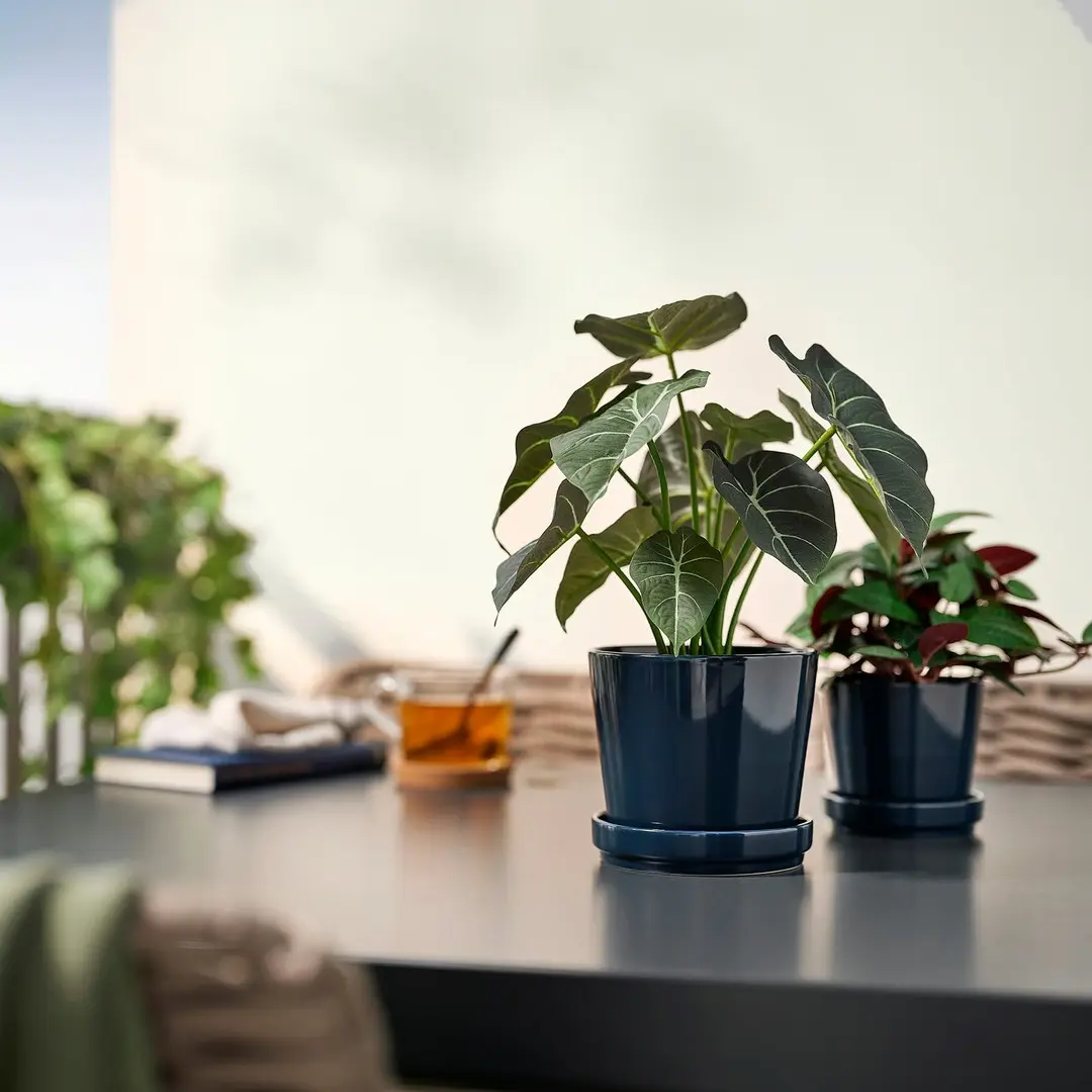 Planta artificiala Ikea Fejka interior/exterior 12cm (Alocasia) - 4