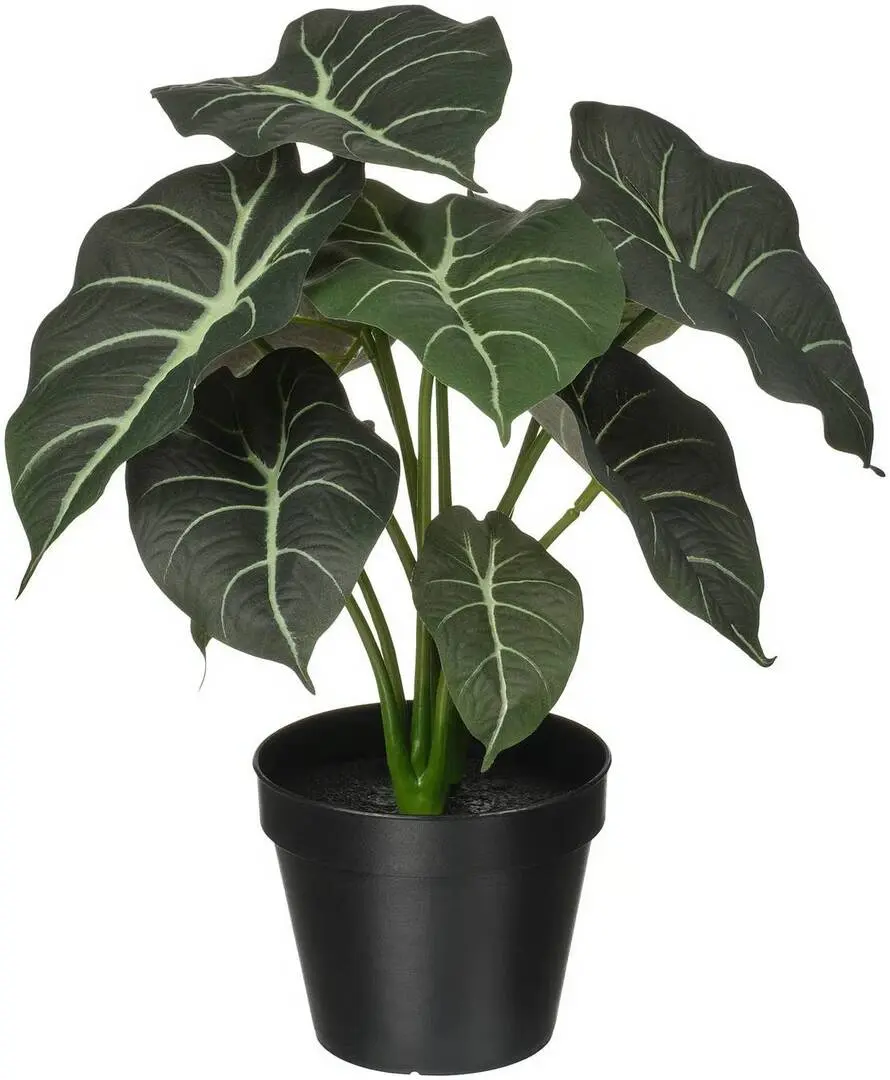 Planta artificiala Ikea Fejka interior/exterior 12cm (Alocasia)