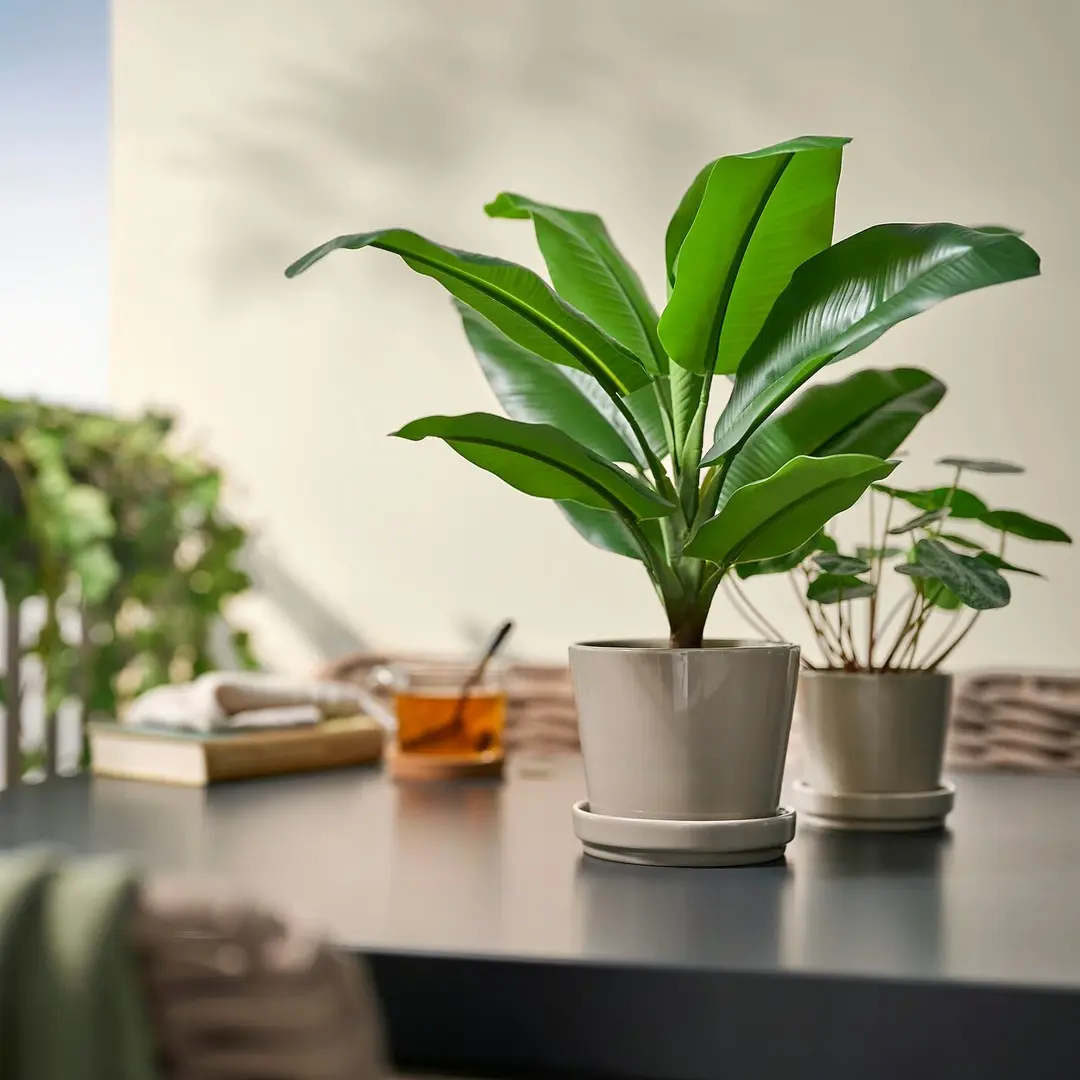 Растение искусственное Ikea Fejka для дома/улицы 12cm (Банан) - 4