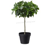 Planta artificiala Ikea Fejka interior/exterior 12cm (Ficus Benjamina/Exotica Tulpină)