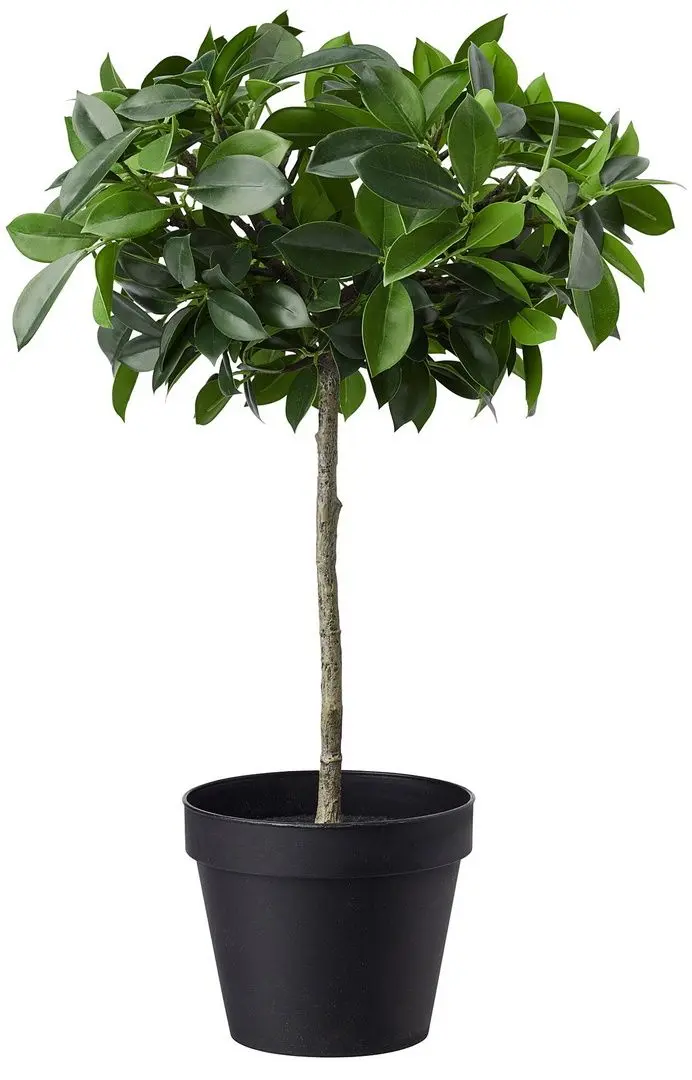 Растение искусственное Ikea Fejka для дома/улицы 12cm (Фикус Бенджамина/Экзотика Стебель)