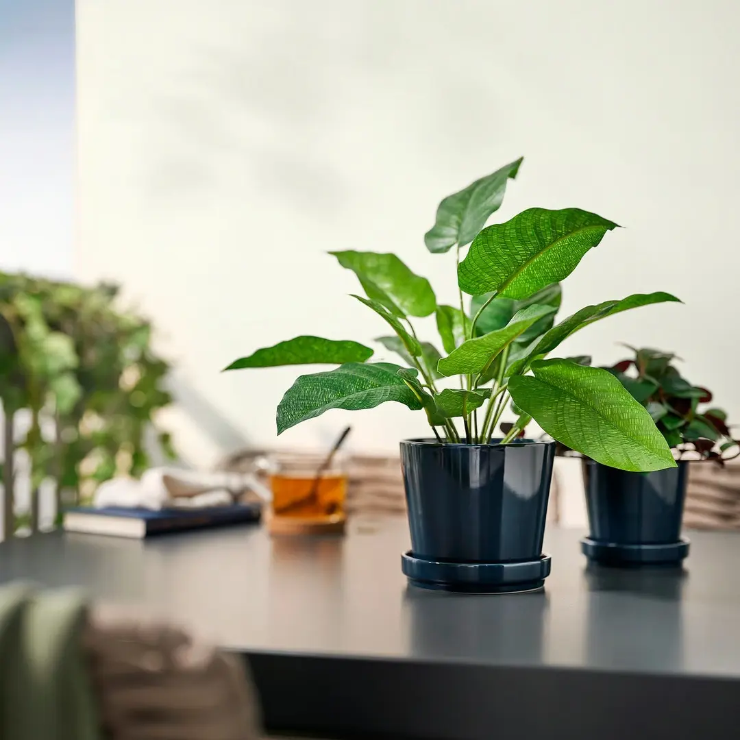 Planta artificiala Ikea Fejka interior/exterior 12cm (Calathea) - 4