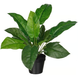 Planta artificiala Ikea Fejka interior/exterior 12cm (Calathea) Thumb