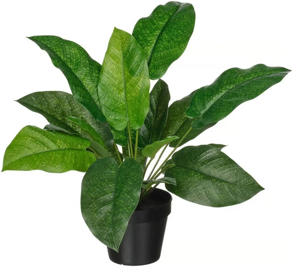 Planta artificiala Ikea Fejka interior/exterior 12cm (Calathea)