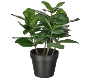 Plantă artificială Ikea Fejka interior/exterior 12cm (Clusia)