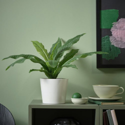Растение искусственное Ikea Fejka для дома/улицы 12cm (Микросорум Крокодил) Thumb