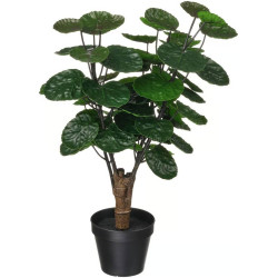 Растение искусственное Ikea Fejka для дома/улицы 12cm (Полисциас)