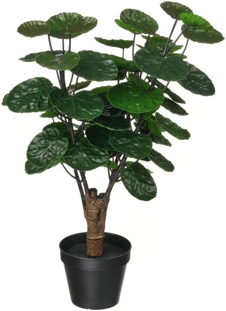 Растение искусственное Ikea Fejka для дома/улицы 12cm (Полисциас)