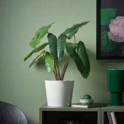 Растение искусственное Ikea Fejka для дома/улицы 15cm (Филодендрон/Зеленый/Белый) Thumb