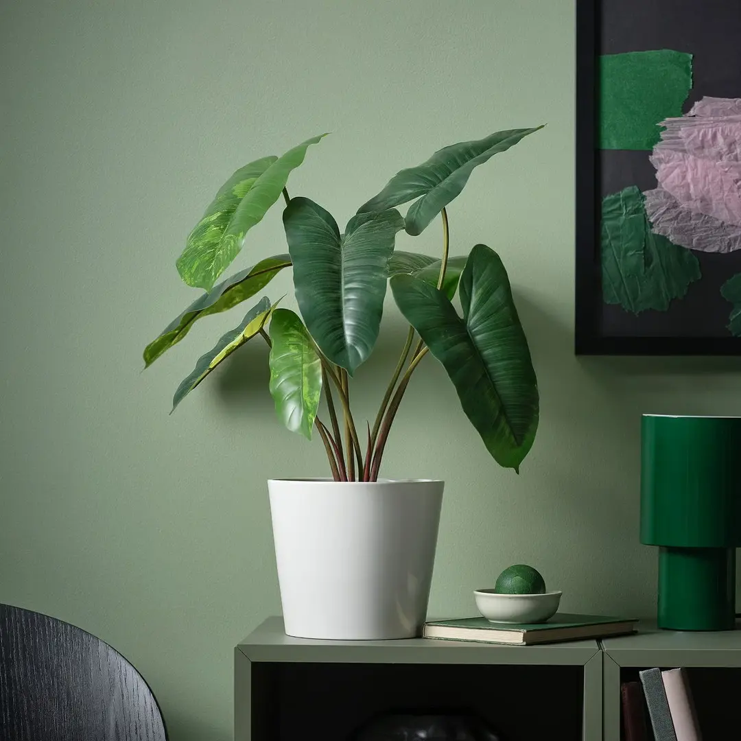 Растение искусственное Ikea Fejka для дома/улицы 15cm (Филодендрон/Зеленый/Белый) - 3