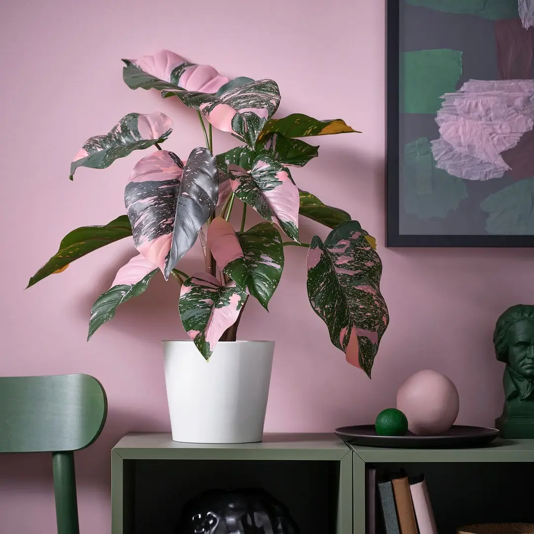 Растение искусственное Ikea Fejka для дома/улицы 15cm (Филодендрон/Зеленый/Розовый) - 3
