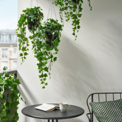 Planta artificiala Ikea Fejka interior/exterior 15cm (Iedera) Thumb