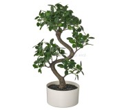 Planta artificiala Ikea Fejka interior/exterior 16cm (Bonsai)