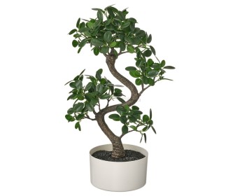 Planta artificiala Ikea Fejka interior/exterior 16cm (Bonsai)