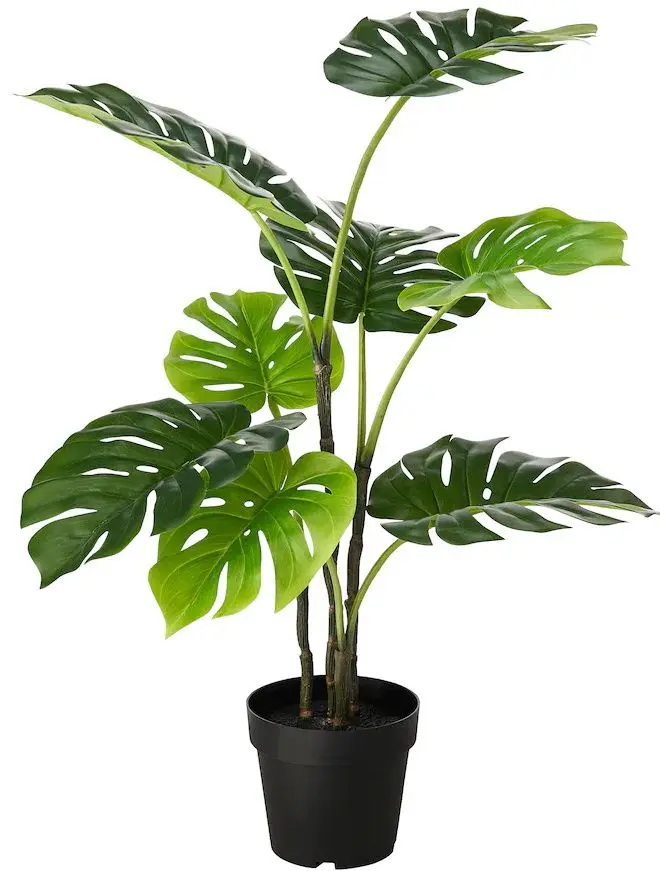 Растение искусственное Ikea Fejka для дома/улицы 19 см (Монстера)