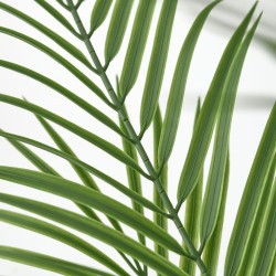 Planta artificiala Ikea Fejka interior/exterior 19cm (Areca) Thumb