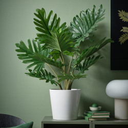 Растение искусственное Ikea Fejka для дома/улицы 19cm (Филодендрон Ксанаду) Thumb
