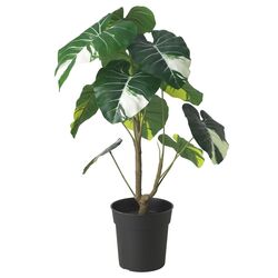 Растение искусственное Ikea Fejka для дома/улицы 19cm (Каладиум)