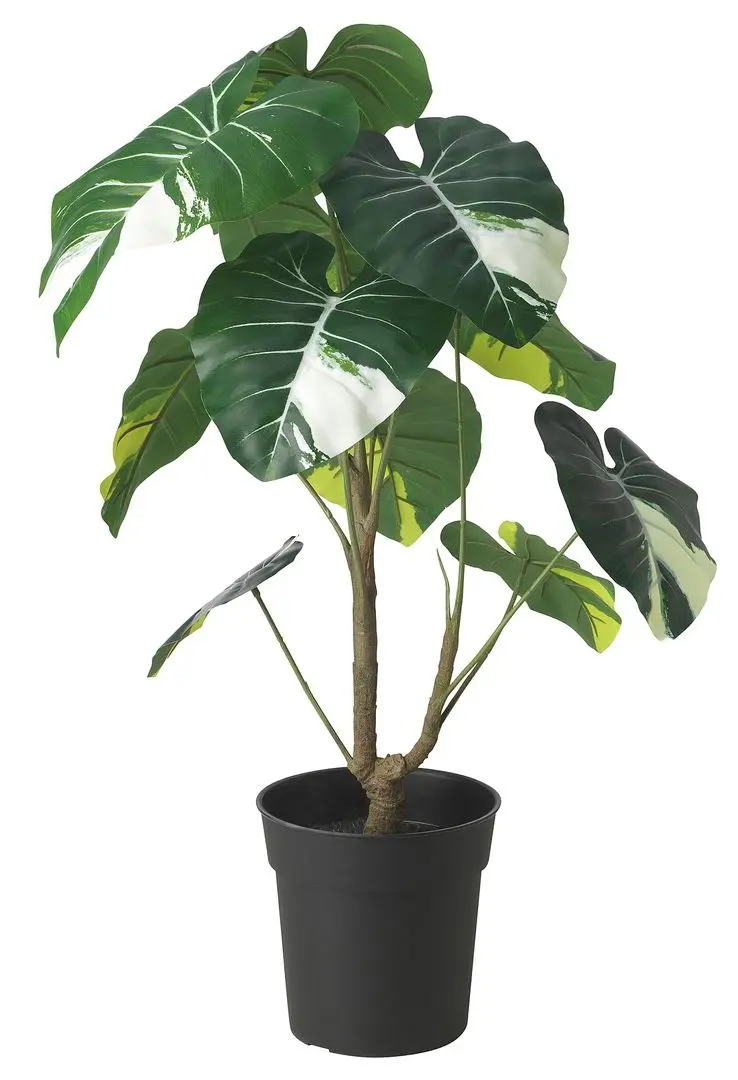 Planta artificiala Ikea Fejka interior/exterior 19cm (Caladium)
