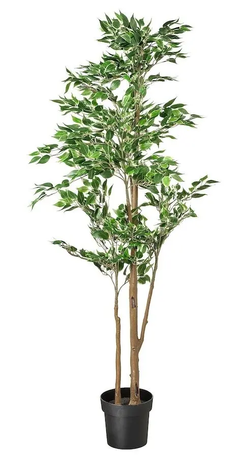 Растение искусственное Ikea Fejka для дома/улицы 21cm (Фикус Бенджамина Экзотика)